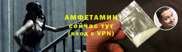 PSILOCYBIN Горняк