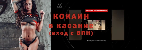 индика Володарск