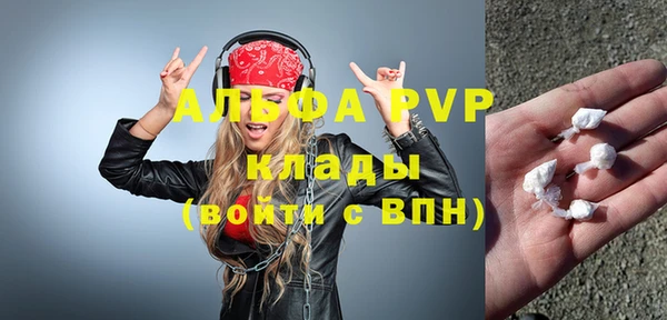 PSILOCYBIN Горняк